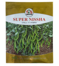 Chilli / Hot Pepper Super Nisha